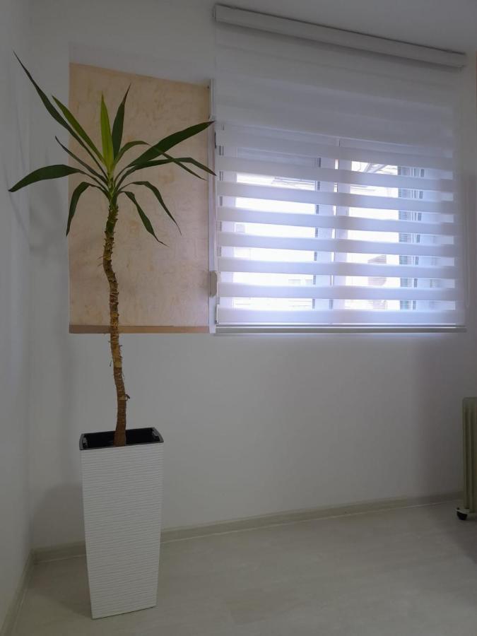 Belgrade Center Lux Apartman Kültér fotó